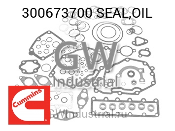 SEAL,OIL — 300673700