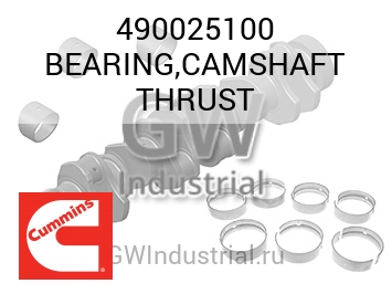 BEARING,CAMSHAFT THRUST — 490025100