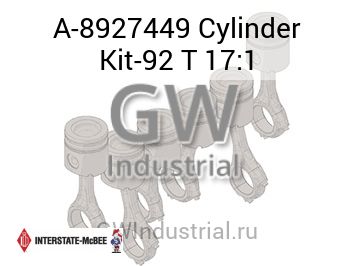 Cylinder Kit-92 T 17:1 — A-8927449