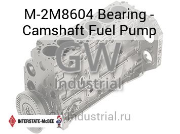 Bearing - Camshaft Fuel Pump — M-2M8604
