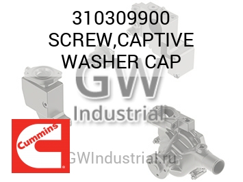 SCREW,CAPTIVE WASHER CAP — 310309900