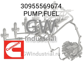 PUMP,FUEL — 30955569674