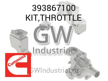 KIT,THROTTLE — 393867100