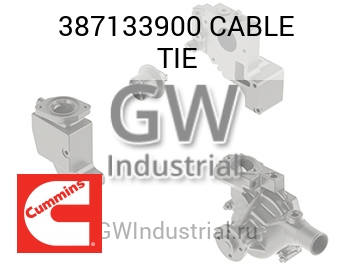 CABLE TIE — 387133900