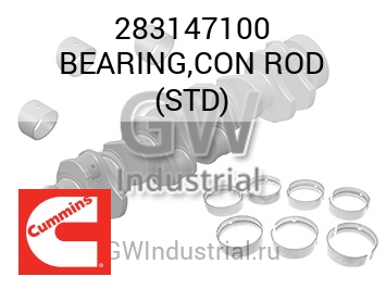 BEARING,CON ROD (STD) — 283147100