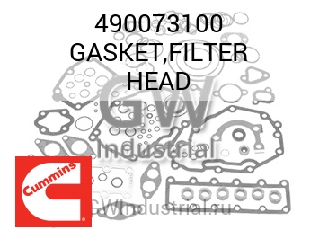 GASKET,FILTER HEAD — 490073100