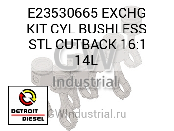 EXCHG KIT CYL BUSHLESS STL CUTBACK 16:1 14L — E23530665