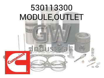 MODULE,OUTLET — 530113300