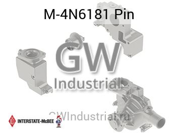 Pin — M-4N6181