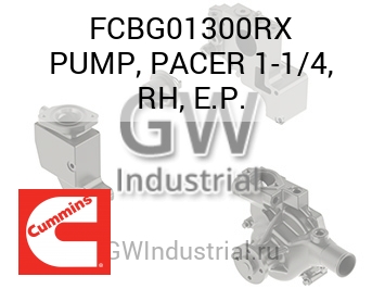 PUMP, PACER 1-1/4, RH, E.P. — FCBG01300RX