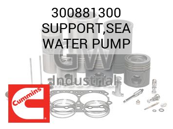 SUPPORT,SEA WATER PUMP — 300881300