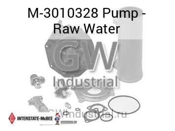 Pump - Raw Water — M-3010328