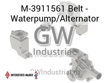 Belt - Waterpump/Alternator — M-3911561