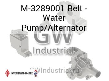 Belt - Water Pump/Alternator — M-3289001
