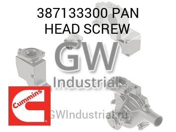 PAN HEAD SCREW — 387133300