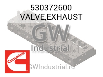 VALVE,EXHAUST — 530372600