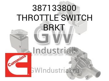 THROTTLE SWITCH BRKT — 387133800