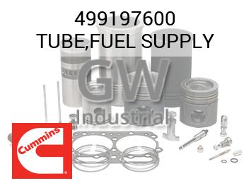 TUBE,FUEL SUPPLY — 499197600