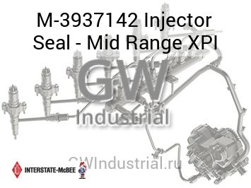 Injector Seal - Mid Range XPI — M-3937142