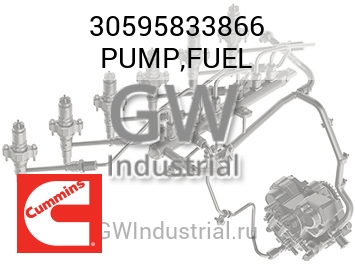 PUMP,FUEL — 30595833866