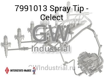 Spray Tip - Celect — 7991013