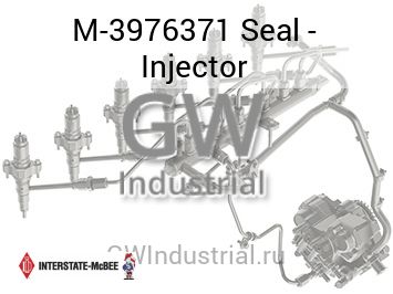 Seal - Injector — M-3976371