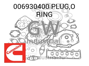 PLUG,O RING — 006930400