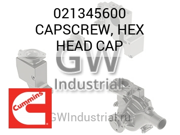 CAPSCREW, HEX HEAD CAP — 021345600
