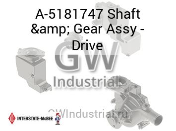 Shaft & Gear Assy - Drive — A-5181747