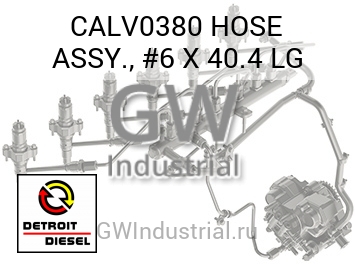 HOSE ASSY., #6 X 40.4 LG — CALV0380