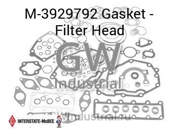 Gasket - Filter Head — M-3929792