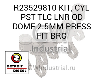 KIT, CYL PST TLC LNR OD DOME 2.5MM PRESS FIT BRG — R23529810