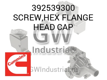 SCREW,HEX FLANGE HEAD CAP — 392539300