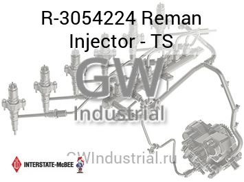 Reman Injector - TS — R-3054224