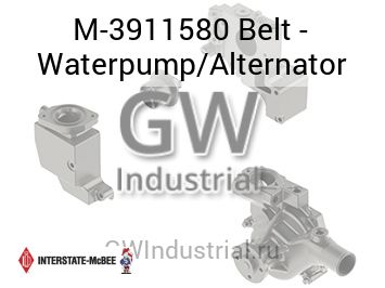 Belt - Waterpump/Alternator — M-3911580